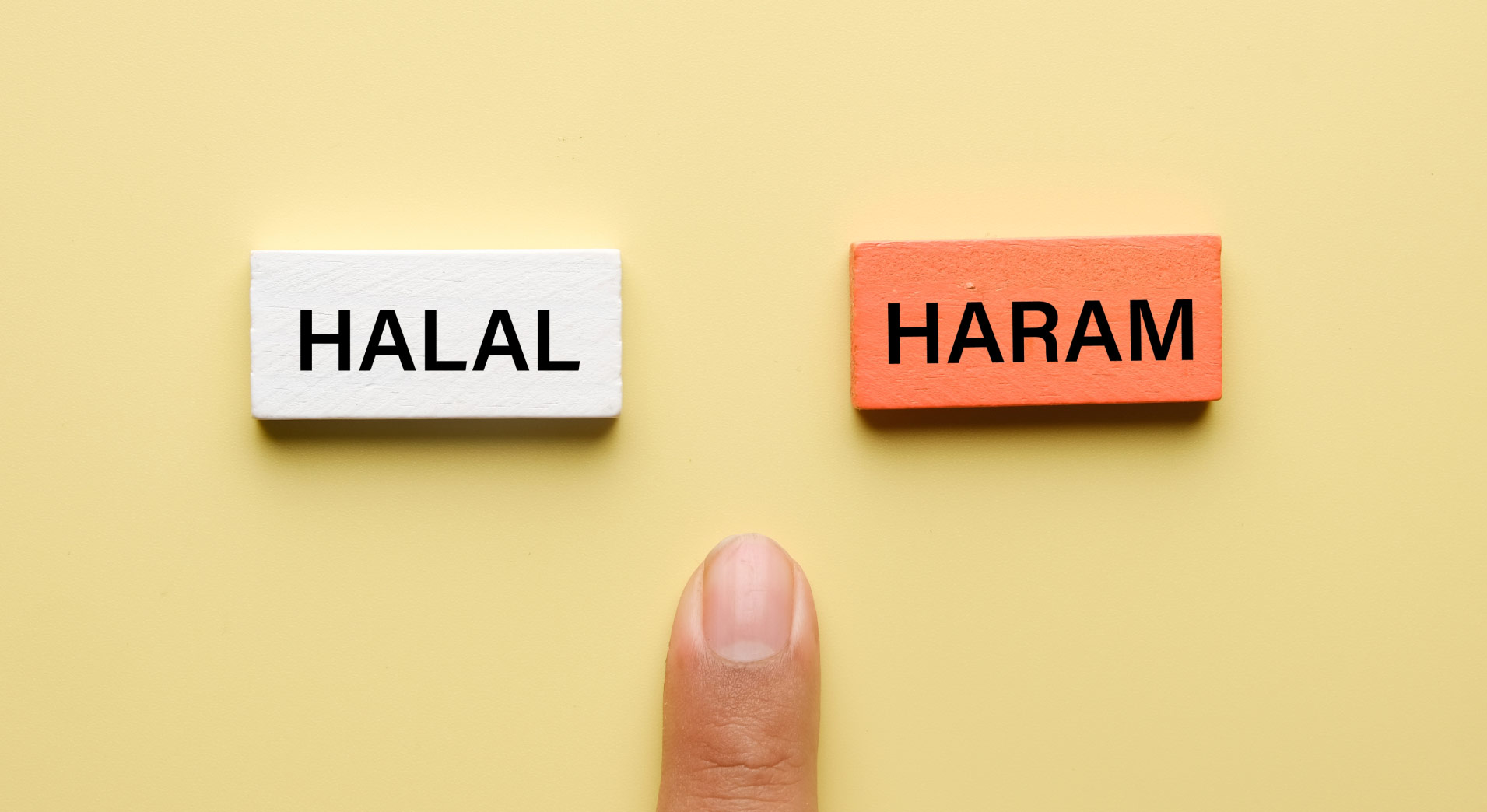 halal and haram